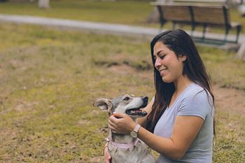 Pet friendly